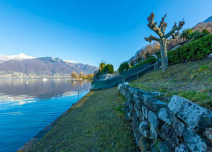 Garden On The 2 - Happy