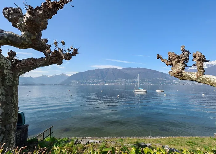 Garden On The 2 - Happy * Gambarogno